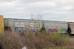 CN 115557 114786